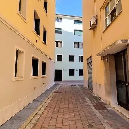 Birds And Sailboats *