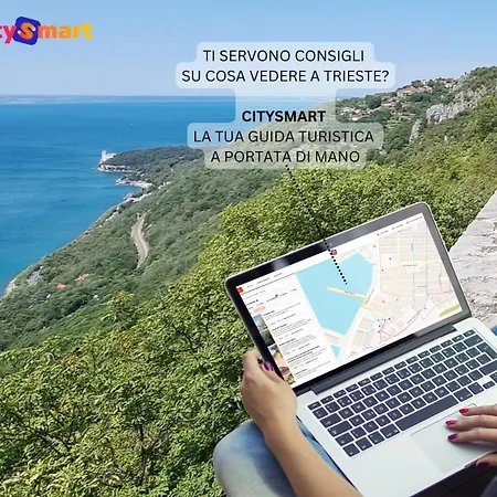 Birds And Sailboats Trieszt